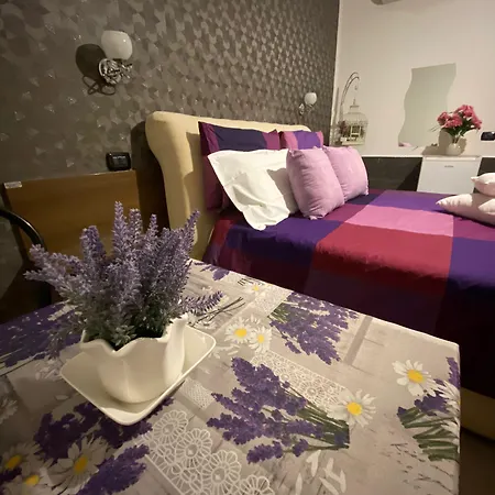 Hotel Nancy *