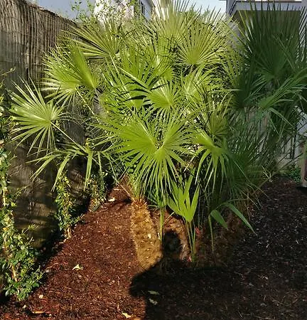 Hotel Nancy Cimitile